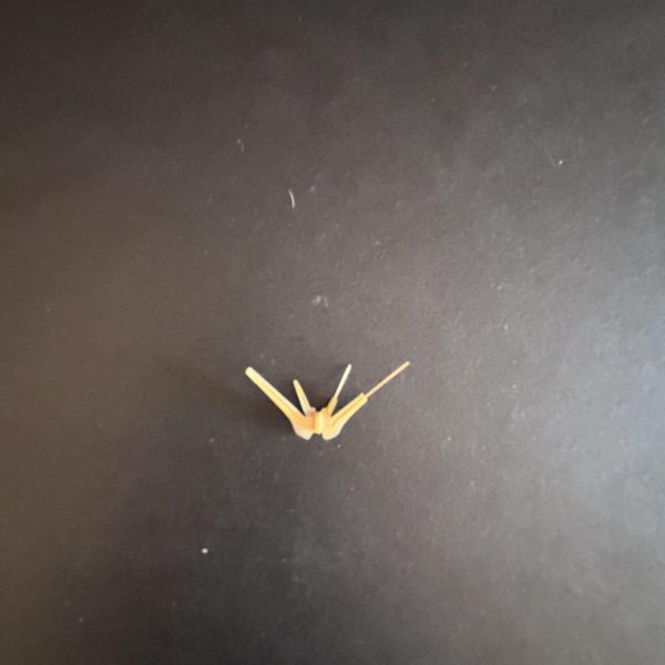 HGUC ZZガンダムをversion Ka顔に寄せて行こうの第4週(〜3/22)です。出張で2日空けたのでゆっくりペースです。①ヘルメットの上部に肉盛りました。②アンテナ延長中。いいかなぁ〜と思ってたら写真撮るとうねうねしてますね😇長すぎたか笑③ハイメガキャノンは筋彫りが太かったので段差にしようといじってたら傷だらけです。④ヘルメットと顔の傷取りはほぼ気にならなくなりました。他はもう少し傷取りに励みます。そうそうGrok。無料生成出来なくなった??ちょっと楽しみ減りました。なんかいい画像生成アプリないかなー。ではまた来週頑張ります。いいねありがとうございます。とても励みになってます😊(5枚目)