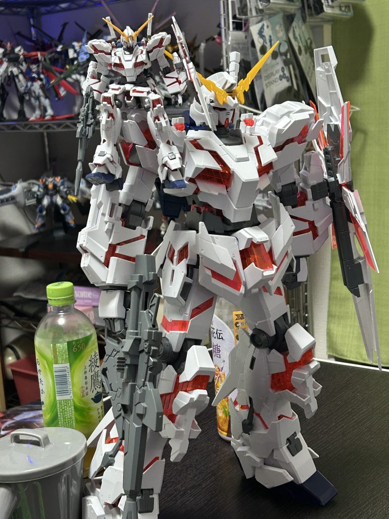 今週の機体はお休みです( ´•̥ω•̥` )