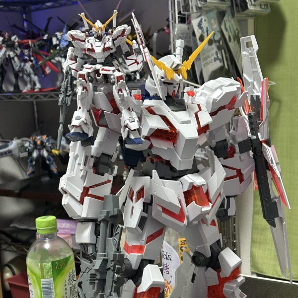 今週の機体はお休みです( ´•̥ω•̥` )