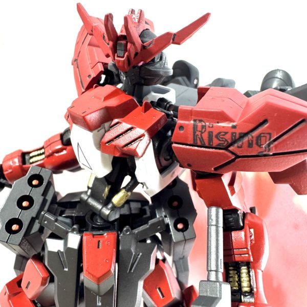 HG ガンダムヴィダール