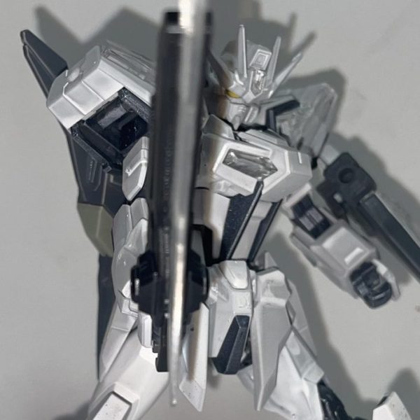 GAT-X105SB/EG/ペイティングモデルビルドストライクエクシードギャラクシー【パルスアレンジ・オブ・リアルカラーモデル】