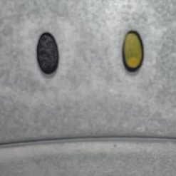 ハロプラ/ペインティングモデルハロ［Aタイプ／ホワイト］【パルスアレンジ・オブ・リアルカラーモデル】