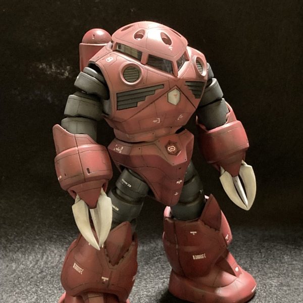 HG シャア専用ズゴック