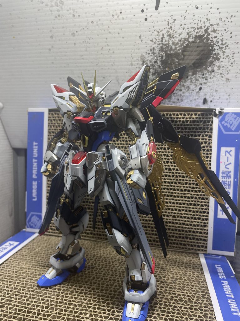 トップコート前ウイングのゴールド部分を傷つけたくなかったのでドラグーン付けずに一度撮影。デカールとトップコート前です。