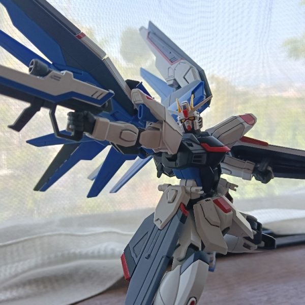 フリーダムっ！行きますっ