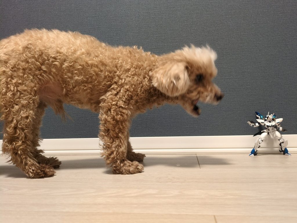 我が家の超大型FEARと激突！この後全パーツに大ダメージ食らって爆散するまでがワンセットw