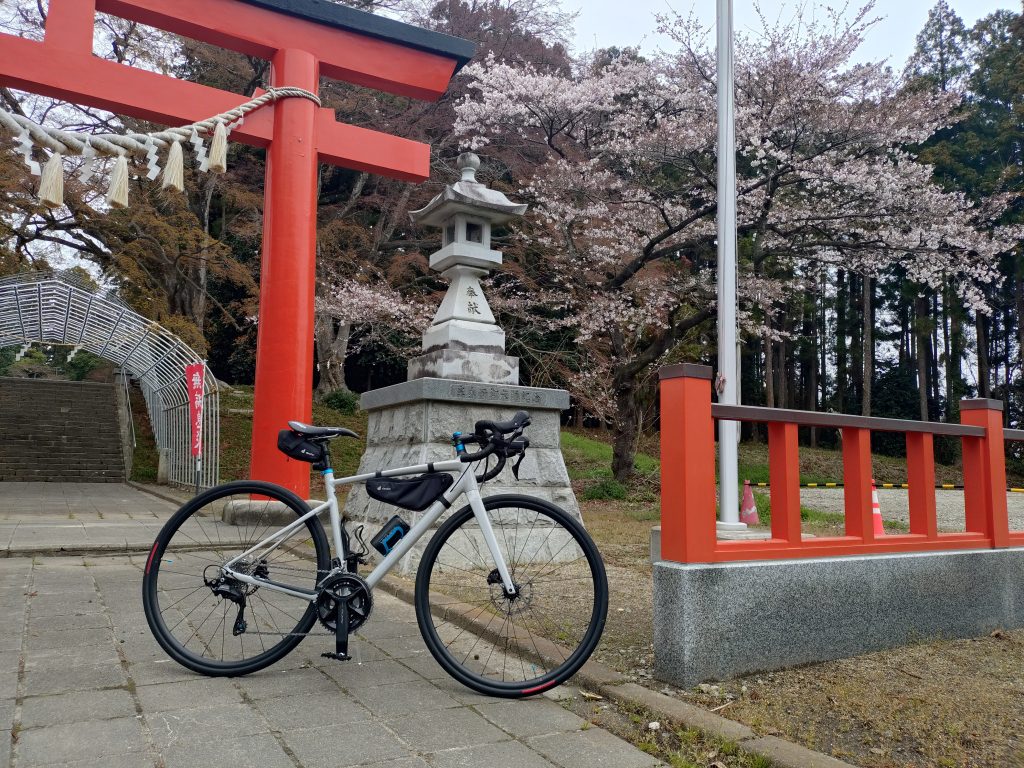 作品名：春ですねぇ～<p>仙台市でもサクラ咲き始めました❗️ 見頃は来週ぐらいかな？ やっと花粉症も落ち着いて来たので模活も再開せねば？（笑）</p>
