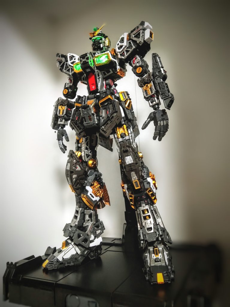 しばらくコレで飾ってました😚