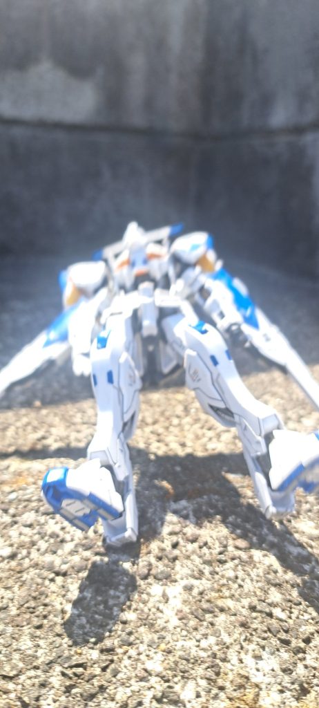 コテンッコケてます。