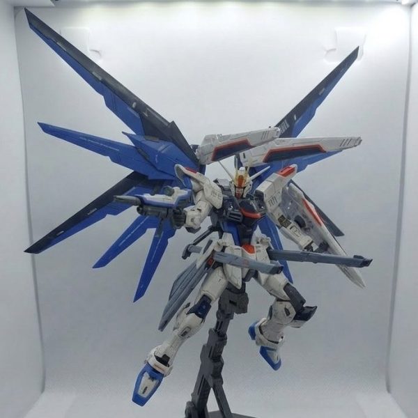 RG【フリーダムガンダム】