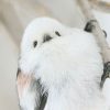 えながゆうき