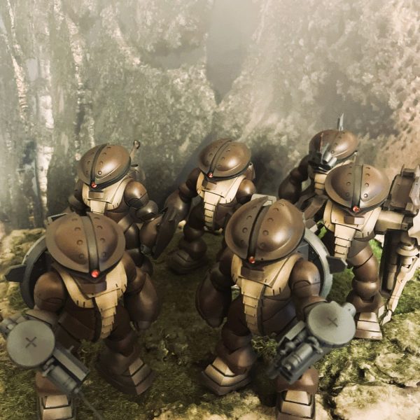 MSM-04 アッガイ ～機動戦士ガンダム サンダーボルト より～