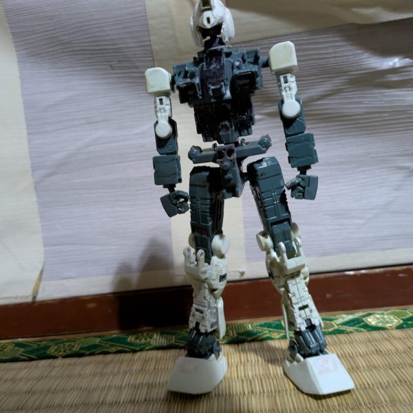 完全オリジナルって訳じゃないけどパーツ無くなったり思った通りに行かないからオリジナル要素強めで完成させていきます（6枚目）