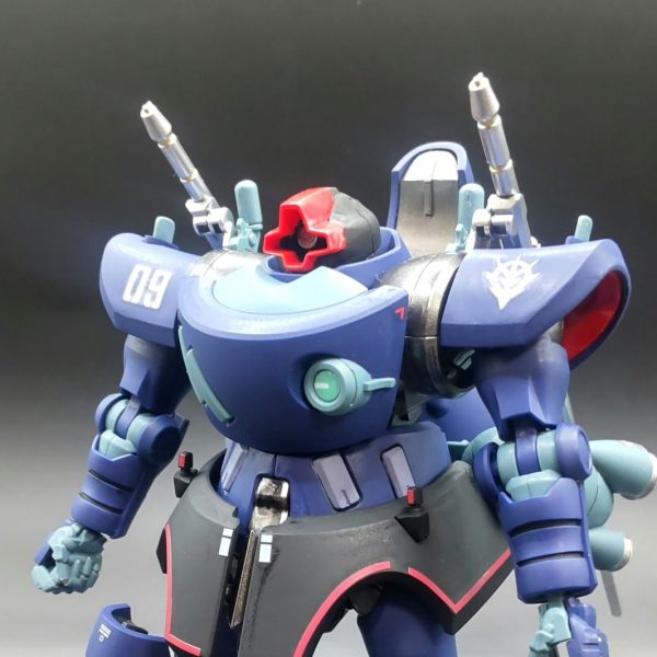 HG 1/144 シャリア専用リック・ドム