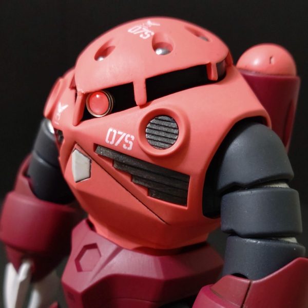 HG　ズゴック【筆塗り全塗装】