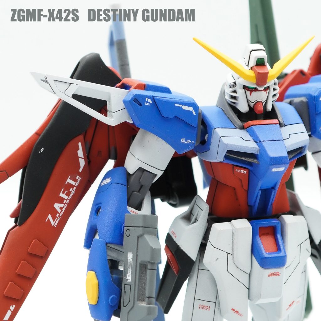 HG ZGMF-X42S DESTINY GUNDAM