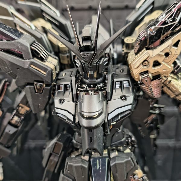 MGEX1/100 STRIKE FREEDOM