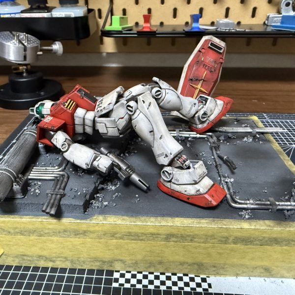 ジムの日間に合わず