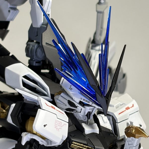 ブラックドラゴン？