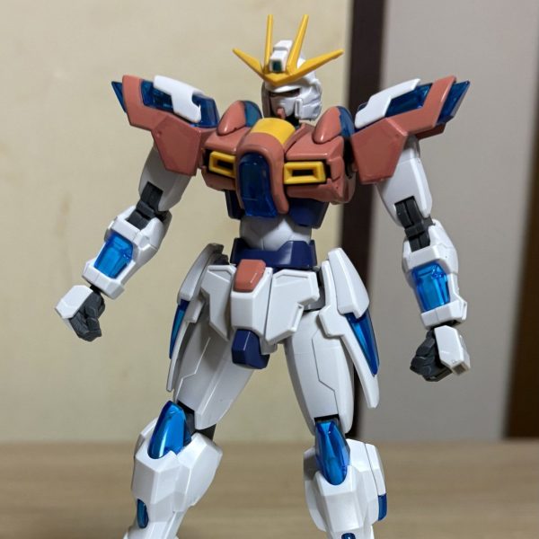 甘結もか専用トライバーニング