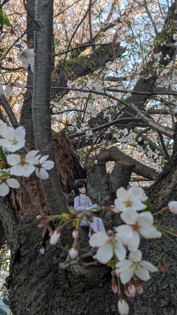 「ティファです！通してください！！」パート５–5枚目/制作者：福狼。