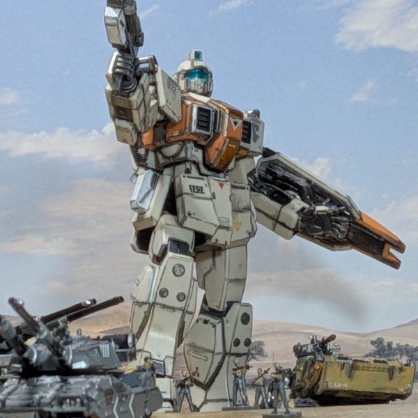 HGUC202陸戦型ジム　進撃の地球連邦軍地上部隊❗️