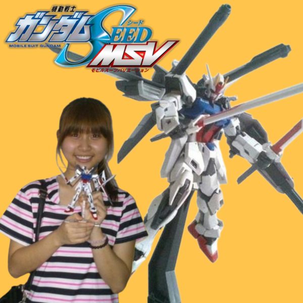 RG•ストライクガンダム✖HG•IWSP