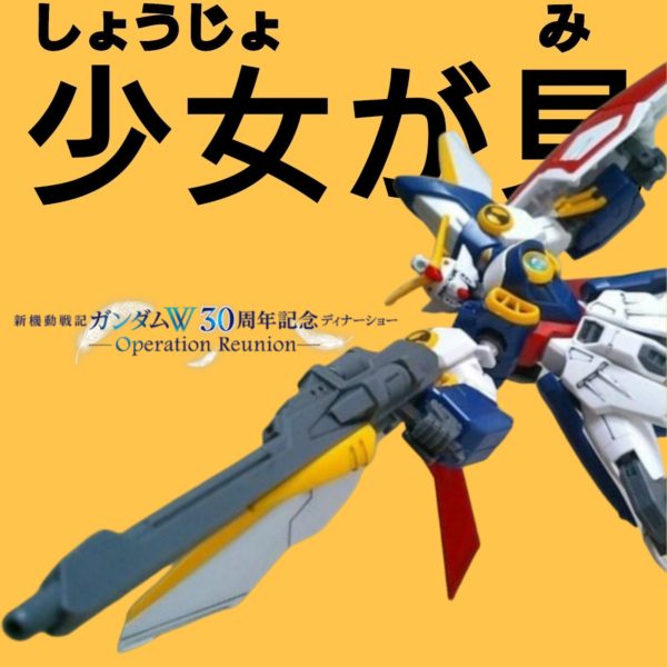 HGCE•リリーナが視たヒイロ