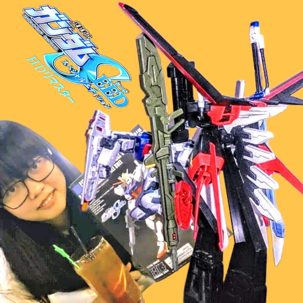 HGCE•ムウ専用•パーフェクトストライクガンダム