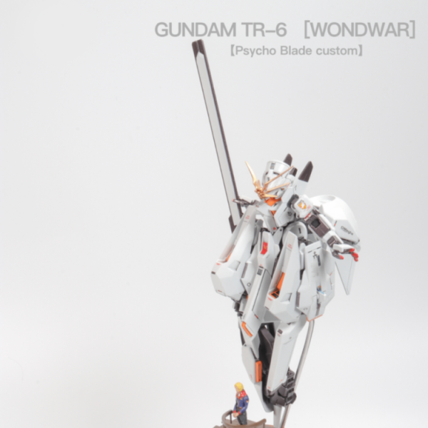 TR-6 ウーンドウォート