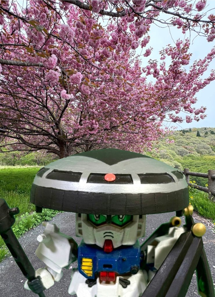 【SDガンダム】覇利丸のお花見。