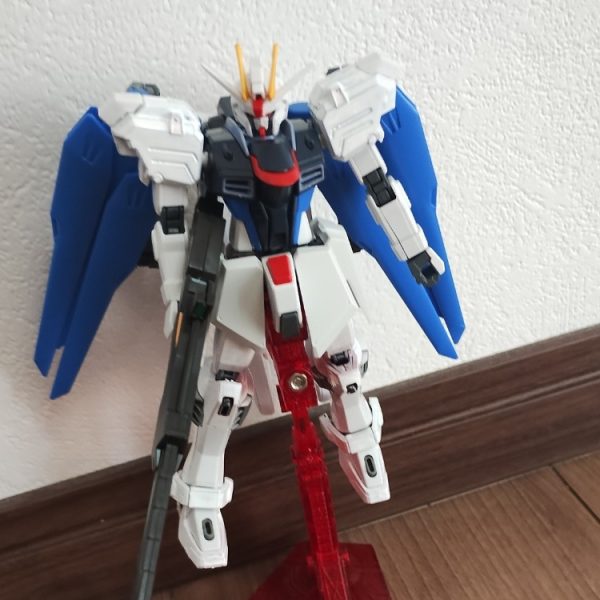 リベルタ・フリーダム