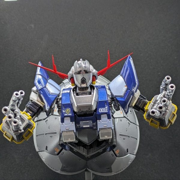RGジオング　クリアカラー