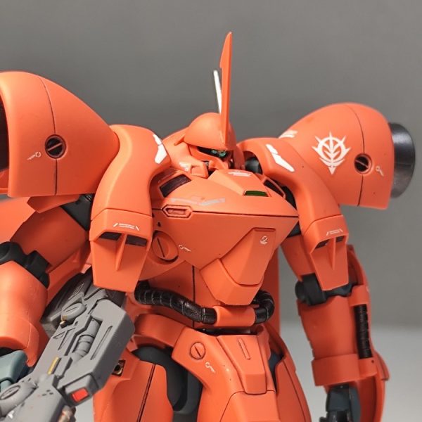 ガーベラテトラ