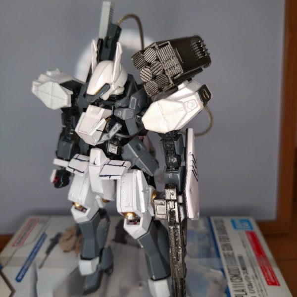 去年作成7.シュヴァルベカスタム