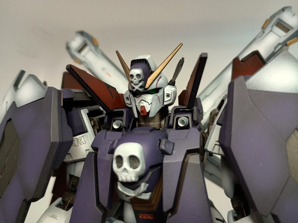 MG クロスボーンX1 フルクロス