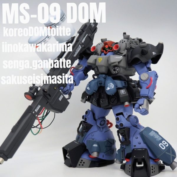 MS-09 DOM