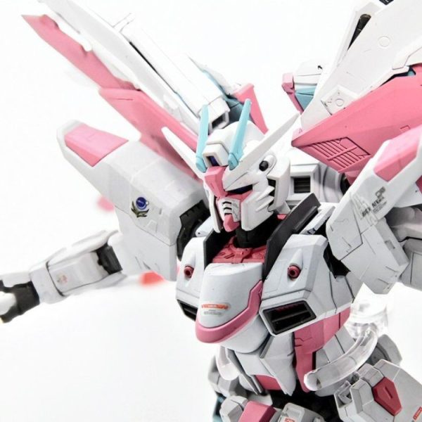 RG フリーダム ver.博衣こより 発進