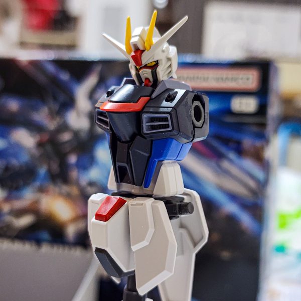 HGフリーダム　製作中