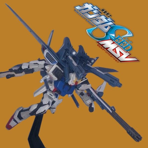 RG•スウェン専用•ストライクガンダム✖ROBOT魂IWSP