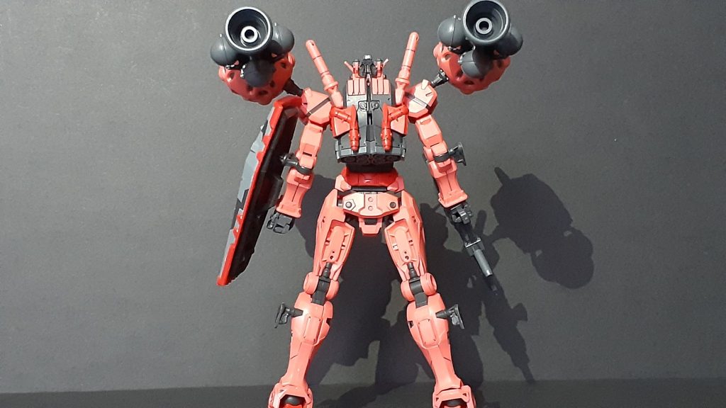 完全に白い部分がないのは珍しいかな