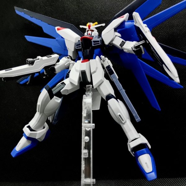 HGCE フリーダムガンダム パチ組