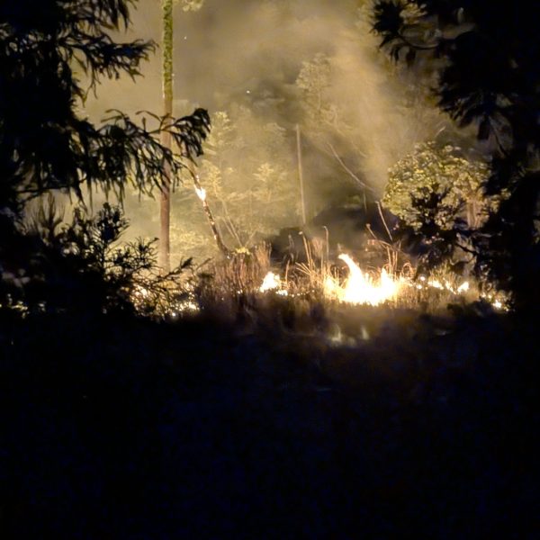🔥山火事たいへん💦🔥