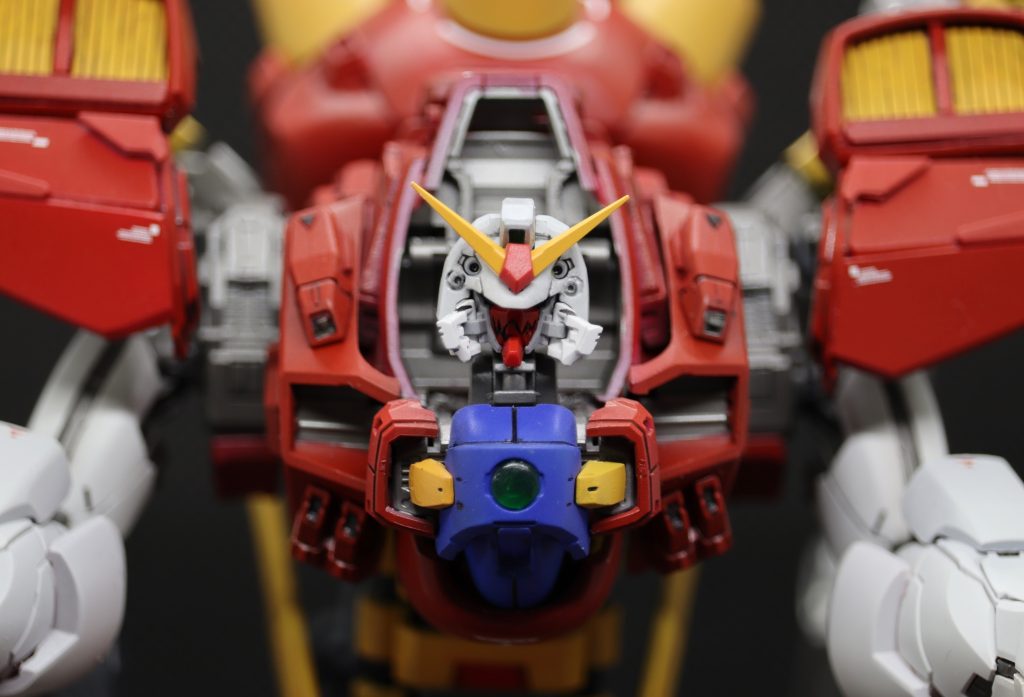 フェイスオープン。マスク部に牙を彫り込んでます^ ^