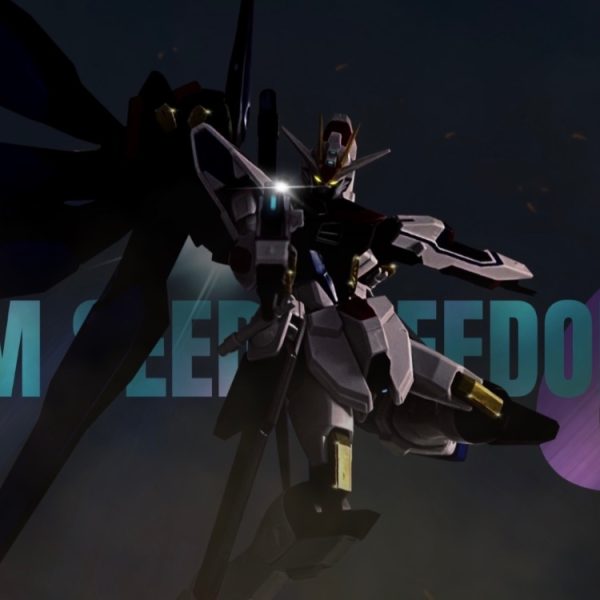 ㊗️劇場公開決定！機動戦士ガンダムSEED FREEDOM 0 | strike freedom