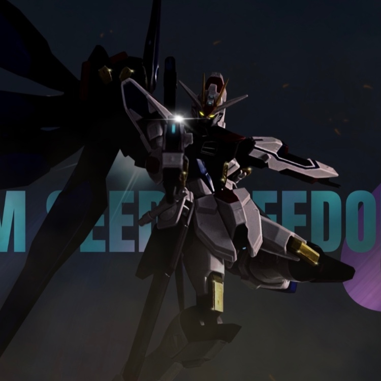 ㊗️劇場公開決定！機動戦士ガンダムSEED FREEDOM 0 | strike freedom