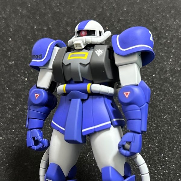 HGザクⅡ 教導機動大隊所属風