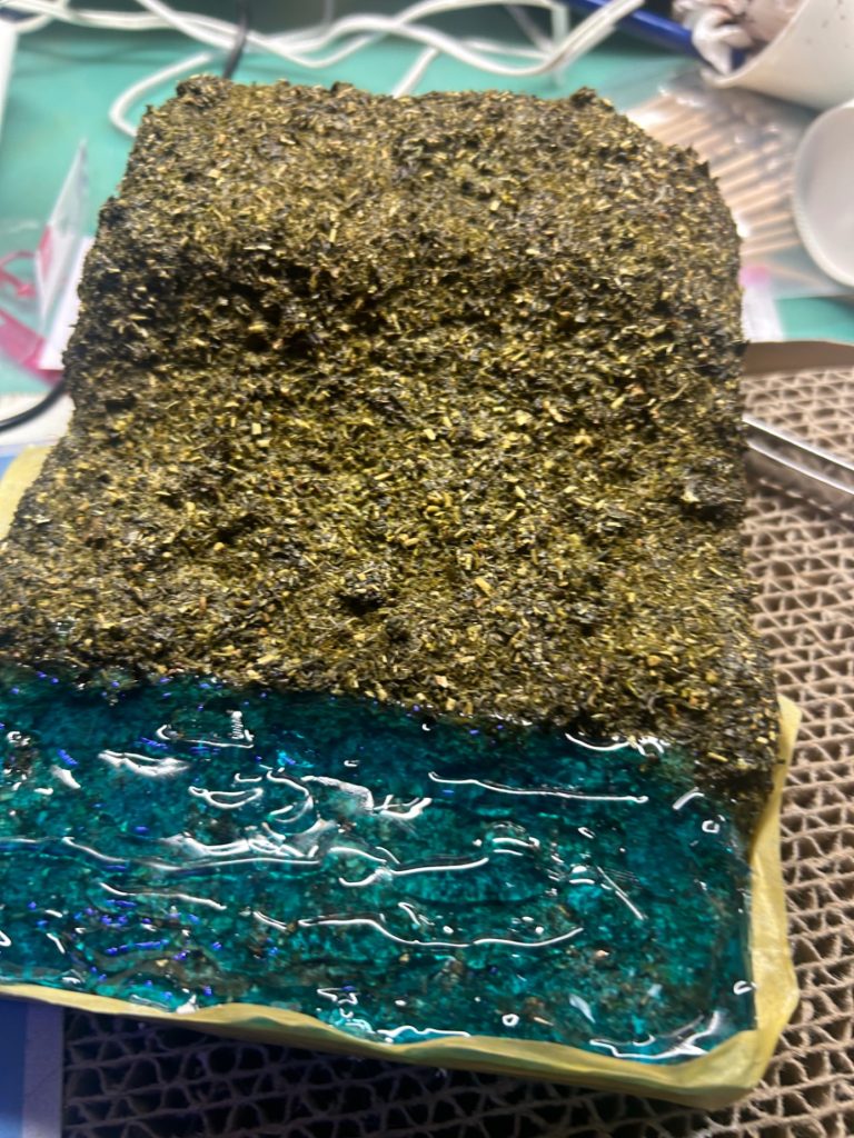 その上に紙粘土で下地を作ったら、上に茶葉とボンド水で野原を再現。あとはレジン水を流し込み、テープで型を作ってライトを浴びせる。ここが時間かかりました