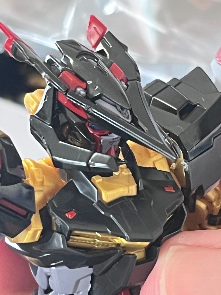 RGの顔面パーツはしんどかった。見えない。