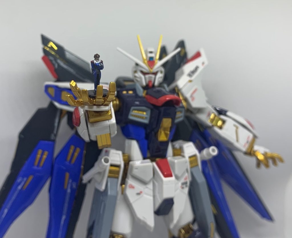 RG ストライクフリーダム–4枚目/制作者：Newhand10000